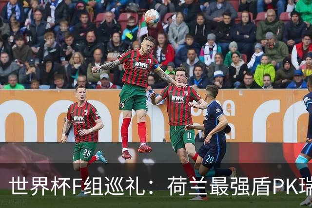 世界杯F组巡礼：荷兰最强盾PK瑞典犀利刀 日本短板明显
